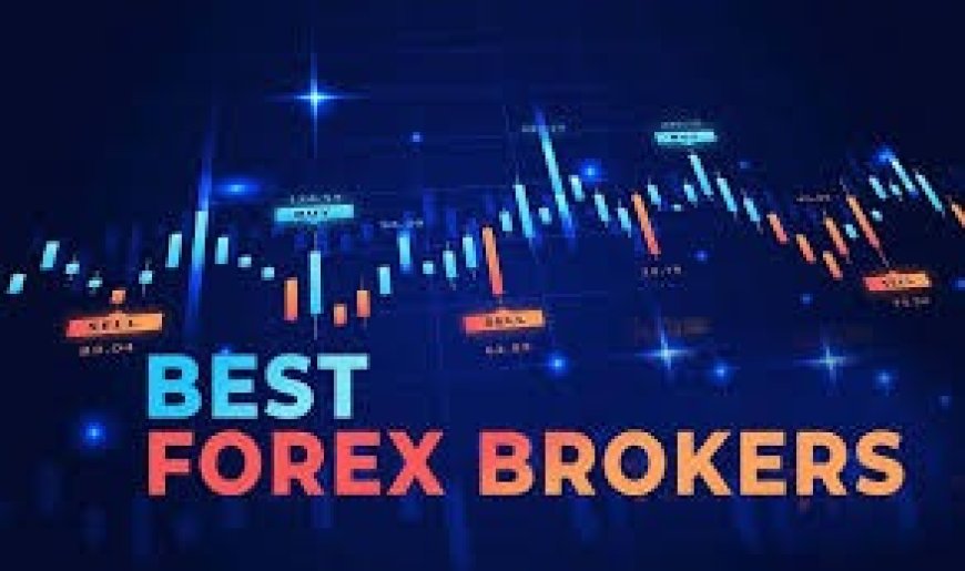 The Role of Forex Brokers: Your Ultimate Guide to Choosing the Perfect Partner for Successful Trading