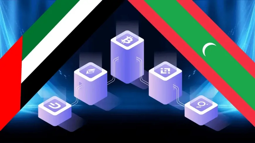 Maldives Set to Launch $9B Blockchain Finance Zone Backed by Dubai-Based Investor
