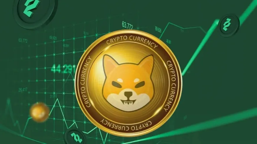 Shiba Inu Drops 6.9% After U.S. Treasury Bitcoin Update