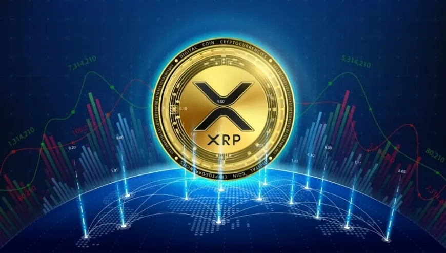 XRP Joins Corporate Treasuries: $140M Allocated in 2025