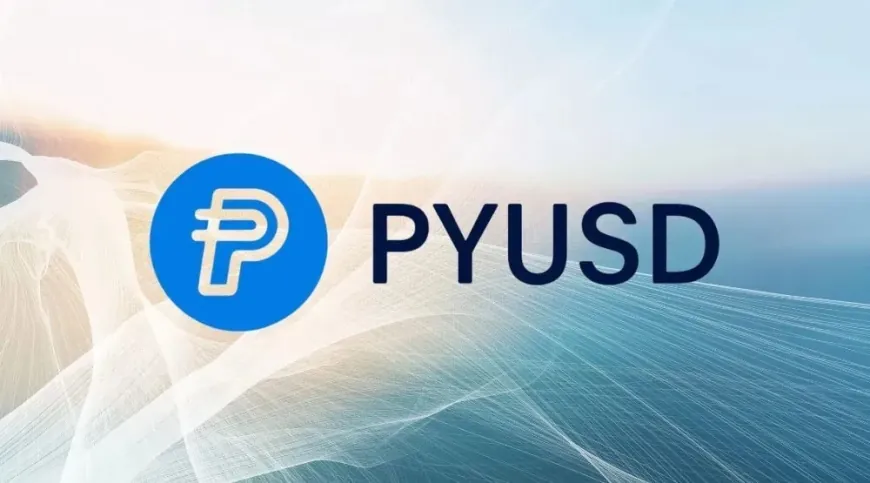 PayPal Partners with Spark Digital Capital to Provide $1 Billion Liquidity for PYUSD Stablecoin